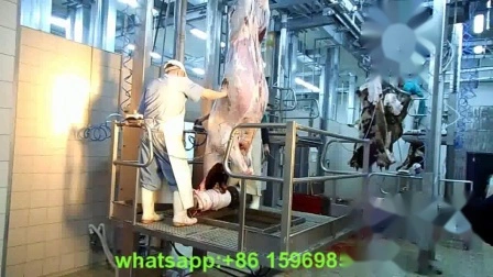 Schlachthaus Rinder Rindfleisch Schlachtausrüstung Fleischverarbeitungsmaschine zu verkaufen